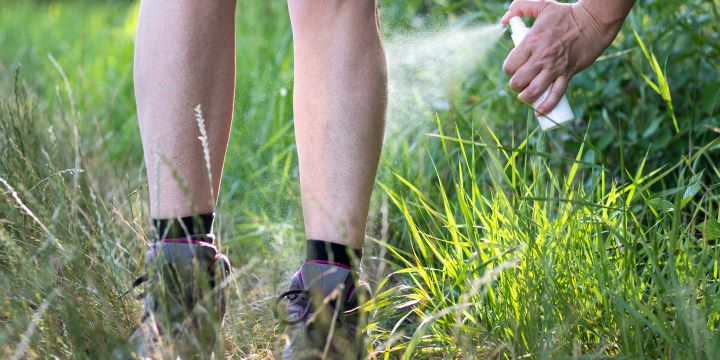 Understanding the Risks Posed by Ticks and Mosquitoes in Your Backyard