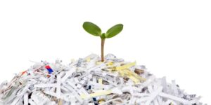 paper recycle