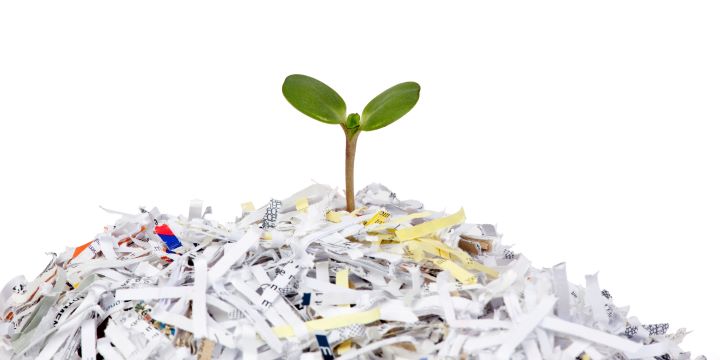 Maximizing the Lifecycle of Paper: Innovative Recycling Strategies