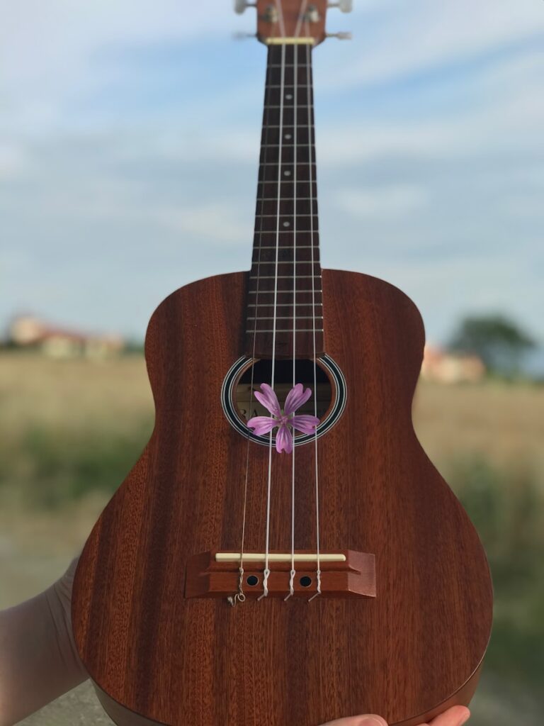 Photo tune a ukelele
