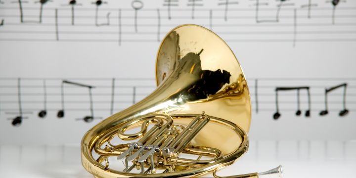 Troubleshooting Misaligned Rotor on French Horn