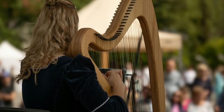 Harp: Slipping Tuning Pin Woes