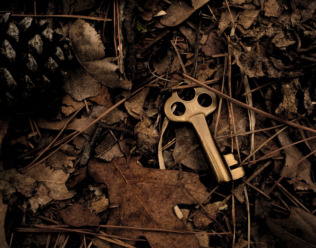 Photo Stuck key