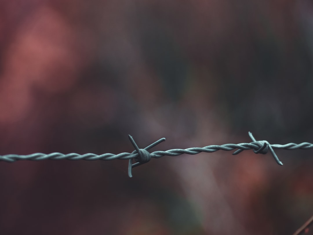 Photo Damaged snare wire