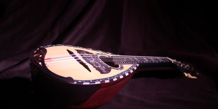 mandolin