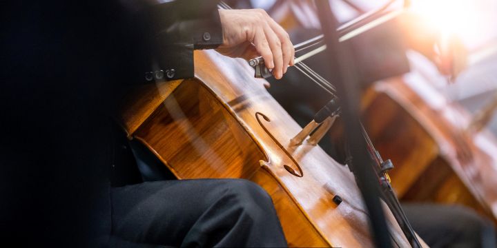 Warped Bridge: Cello Troubleshooting