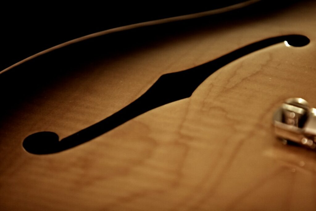 Photo Acoustic-Electric Guitar