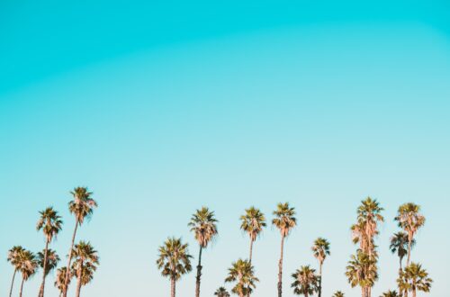 Photo Nostalgia Marketing