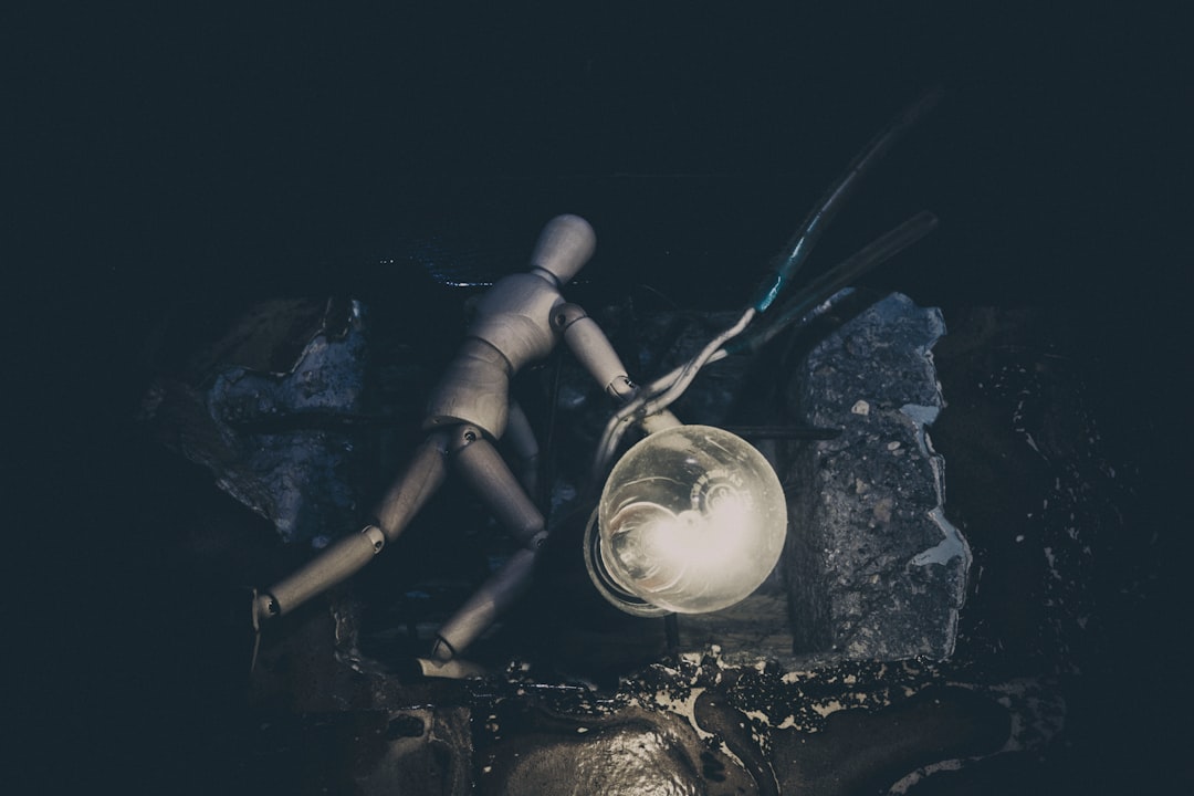 Photo Entertainment Business